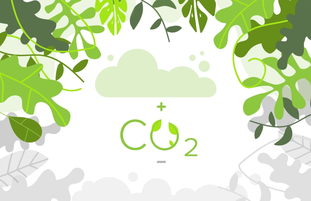 一组明亮的绿色叶子包围着一片浮云，绿色叶子代表二氧化碳。